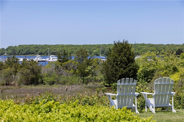 121 Avondale Rd, Westerly, RI 02891 - view of yard with a forest view and a water view