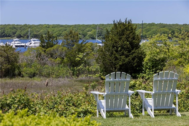 121 Avondale Rd, Westerly, RI 02891 - view of yard with a forest view