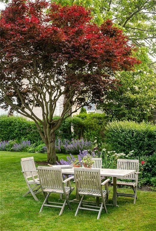 12 Poplar St, Newport, RI 02840 - view of green lawn