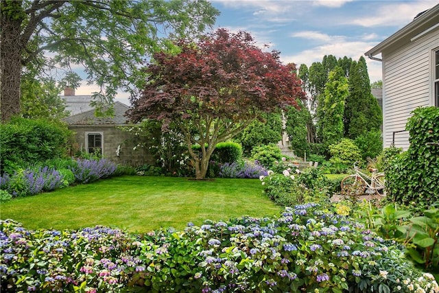 12 Poplar St, Newport, RI 02840 - view of grassy yard