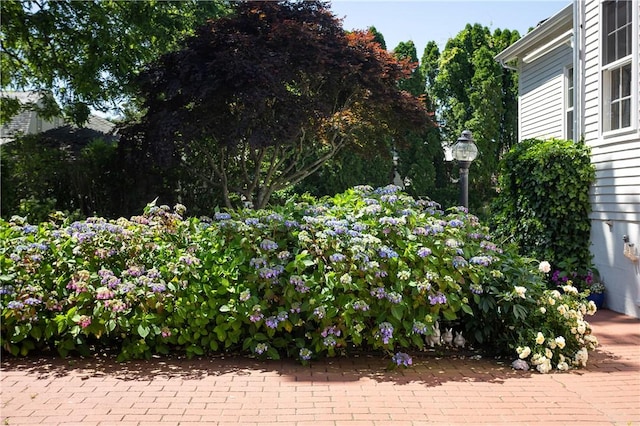 12 Poplar St, Newport, RI 02840 - view of patio / terrace