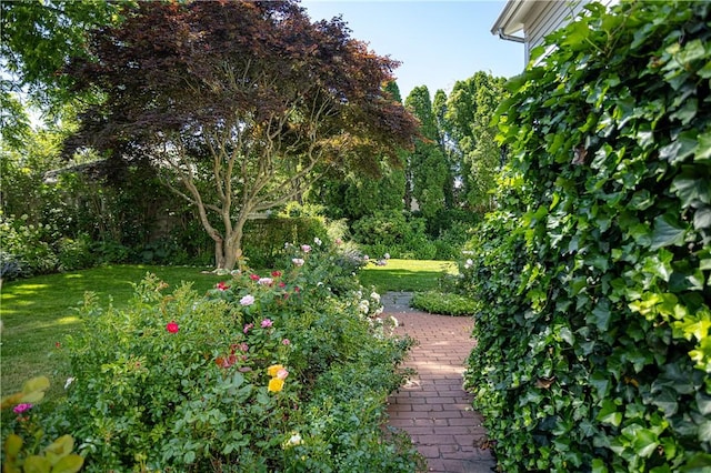 12 Poplar St, Newport, RI 02840 - view of grassy yard