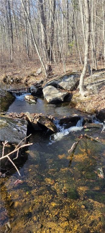 112 Cranberry Ridge Rd, Glocester, RI 02857 - view of local wilderness