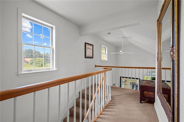 109 Corey Ln, Middletown, RI 02842 - photo 28
