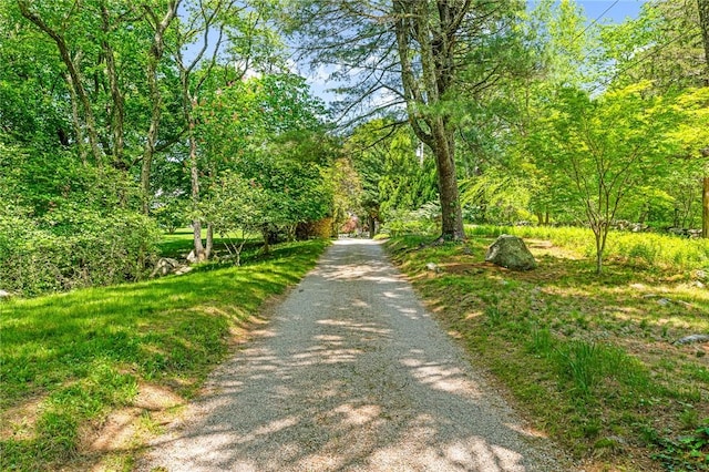 1049 Matunuck Schoolhouse Rd, South Kingstown, RI 02879 - view of road featuring a forest view