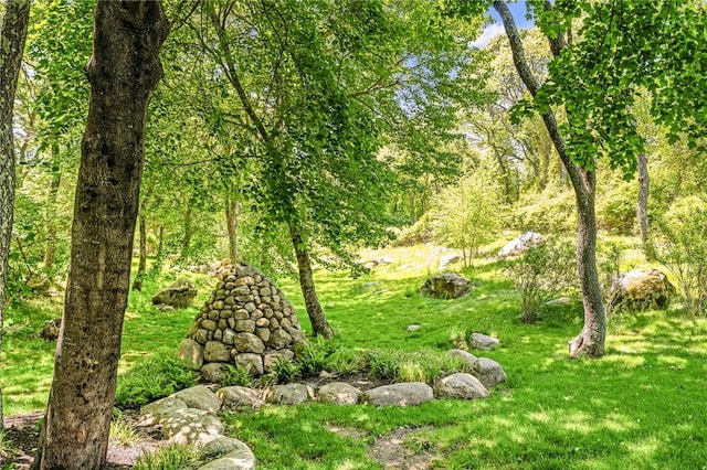 1049 Matunuck Schoolhouse Rd, South Kingstown, RI 02879 - view of yard