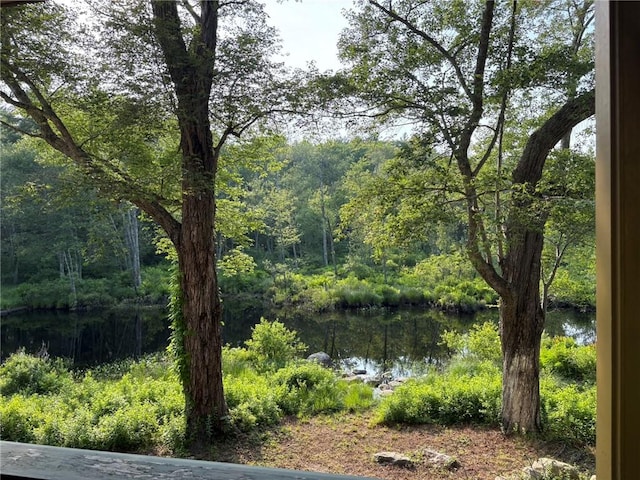 40 Anthony Rd, Foster, RI 02825 - water view with a heavily wooded area
