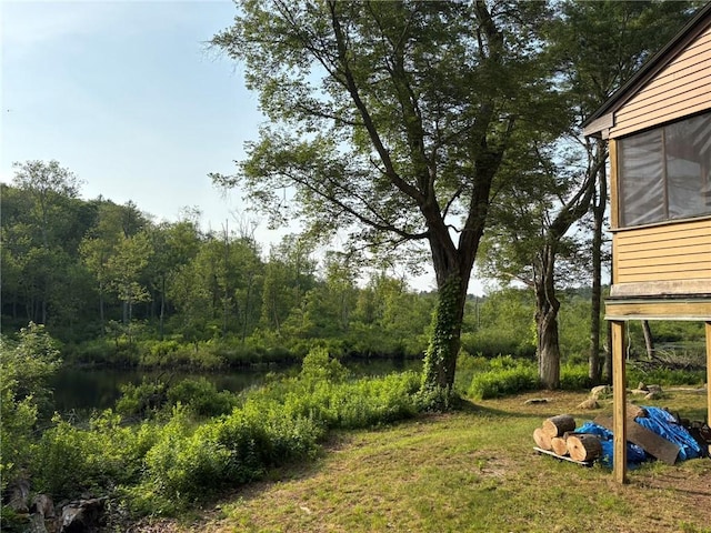 40 Anthony Rd, Foster, RI 02825 - view of yard featuring a water view and a wooded view