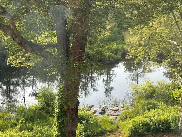 40 Anthony Rd, Foster, RI 02825 - water view with a forest