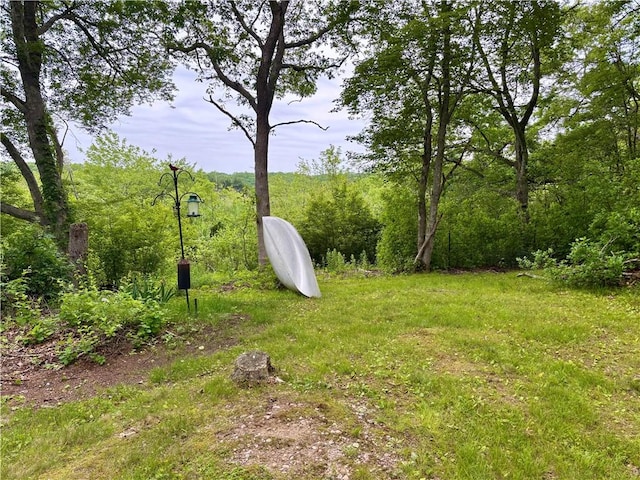 10 Lakeside Dr, Charlestown, RI 02813 - view of yard with a wooded view