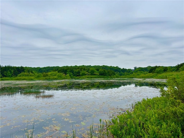 10 Lakeside Dr, Charlestown, RI 02813 - water view featuring a heavily wooded area