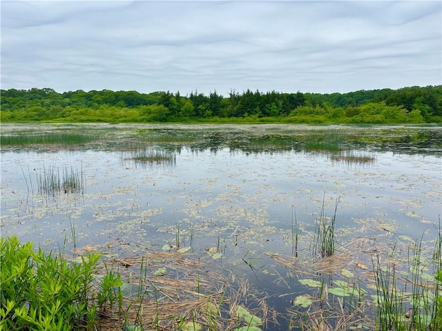 10 Lakeside Dr, Charlestown, RI 02813 - water view featuring a heavily wooded area