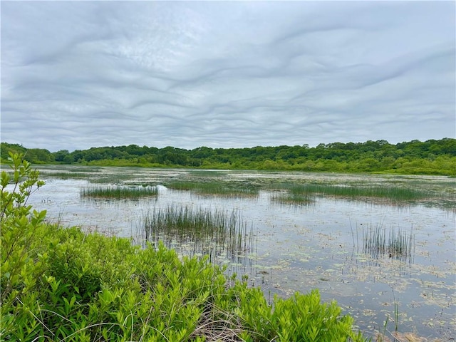 10 Lakeside Dr, Charlestown, RI 02813 - water view featuring a forest