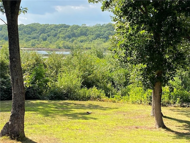 10 Lakeside Dr, Charlestown, RI 02813 - view of green lawn featuring a forest view and a water view