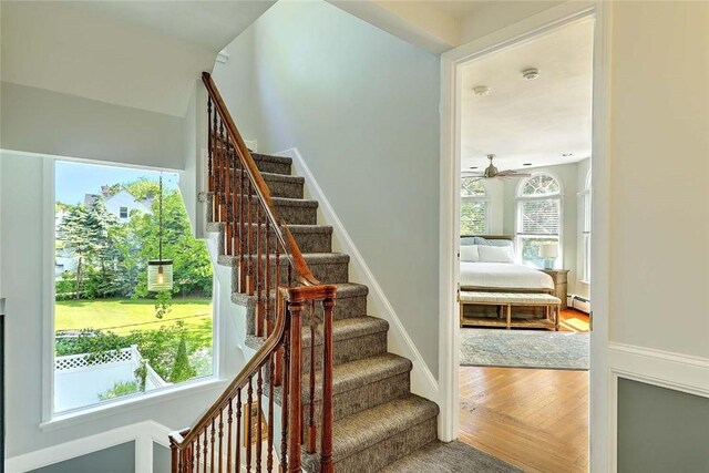 247 Oaklawn Ave, Cranston, RI 02920 - photo 32