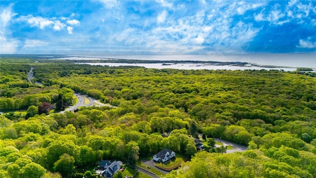 3 Piezzo Dr, Westerly, RI 02891 - bird's eye view of a nearby body of water and a heavily wooded area