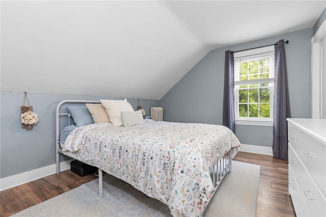 229 Roger Williams Ave, East Providence, RI 02916 - bedroom with wood finished floors, vaulted ceiling, and radiator