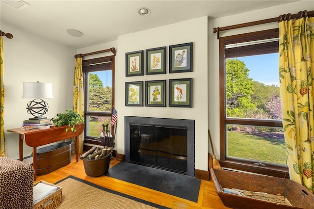 11 Mill Brook Ct, Charlestown, RI 02813 - living area with wood finished floors and a fireplace with flush hearth