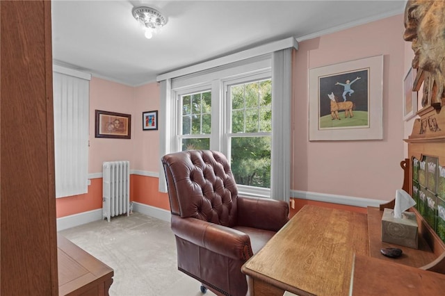 112 County Rd, Barrington, RI 02806 - carpeted home office featuring radiator and crown molding