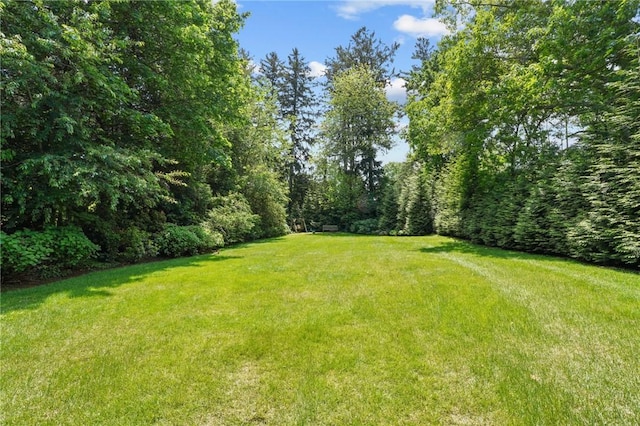 112 County Rd, Barrington, RI 02806 - view of grassy yard with a wooded view