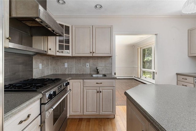 9 Beacon Hill Dr, Warwick, RI 02886 - kitchen with stainless steel range with gas stovetop, ventilation hood, backsplash, crown molding, and light wood-type flooring