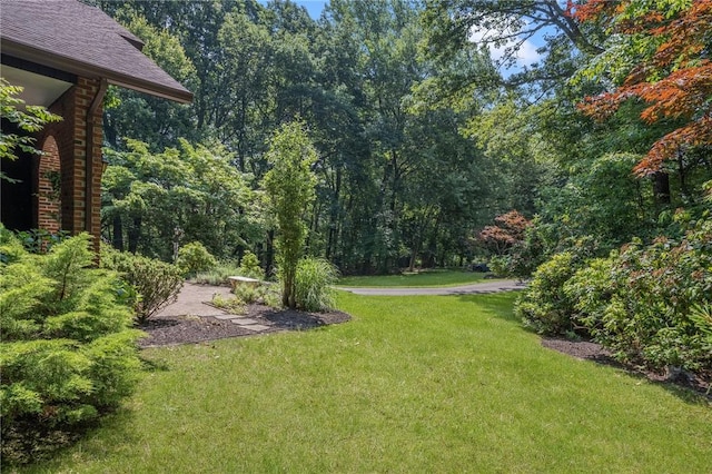 9 Beacon Hill Dr, Warwick, RI 02886 - view of grassy yard with a forest view