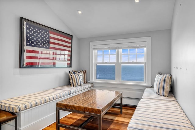 1210 Graces Cove Rd, Block Island, RI 02807 - living area with vaulted ceiling, wood finished floors, and a baseboard radiator