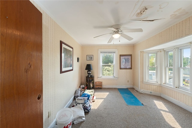 49 Palmer Ave, Warwick, RI 02889 - workout room with wallpapered walls, ceiling fan, and carpet flooring