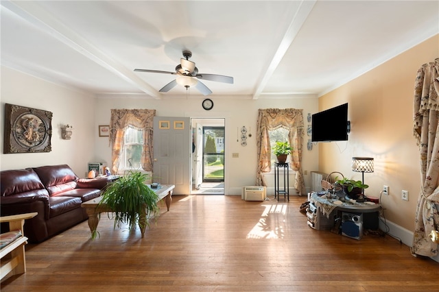 49 Palmer Ave, Warwick, RI 02889 - living area featuring beam ceiling, a ceiling fan, and hardwood / wood-style flooring