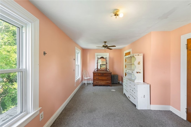 49 Palmer Ave, Warwick, RI 02889 - hallway with radiator, healthy amount of natural light, and carpet floors