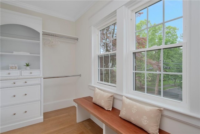 175 Freeman Pkwy, Providence, RI 02906 - walk in closet with light wood-style flooring