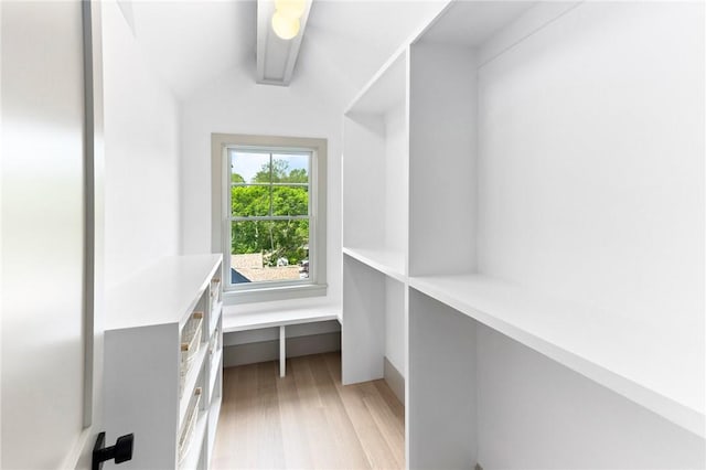 35 Coggeshall Ave, Newport, RI 02840 - spacious closet with light wood-type flooring