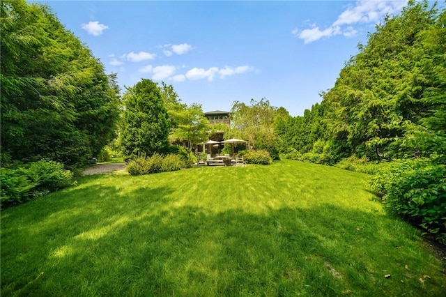 20 Wagner Rd, Westerly, RI 02891 - view of green lawn with a wooded view