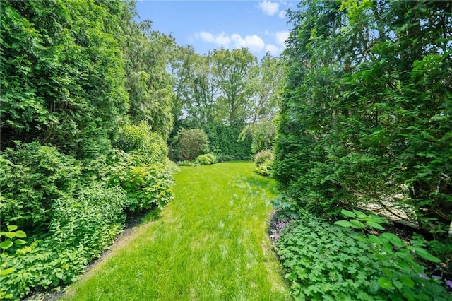 20 Wagner Rd, Westerly, RI 02891 - view of green lawn