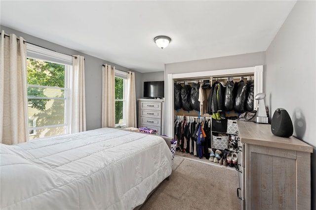313 Branch Ave, Providence, RI 02904 - bedroom featuring carpet flooring and a closet