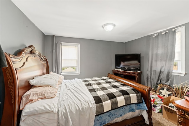 313 Branch Ave, Providence, RI 02904 - view of carpeted bedroom