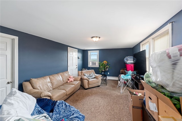 313 Branch Ave, Providence, RI 02904 - living area featuring carpet floors and a baseboard radiator