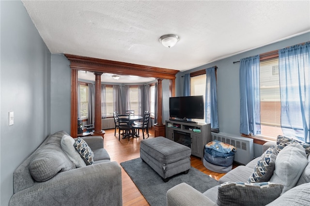 313 Branch Ave, Providence, RI 02904 - living area featuring radiator heating unit, plenty of natural light, a textured ceiling, and light wood finished floors