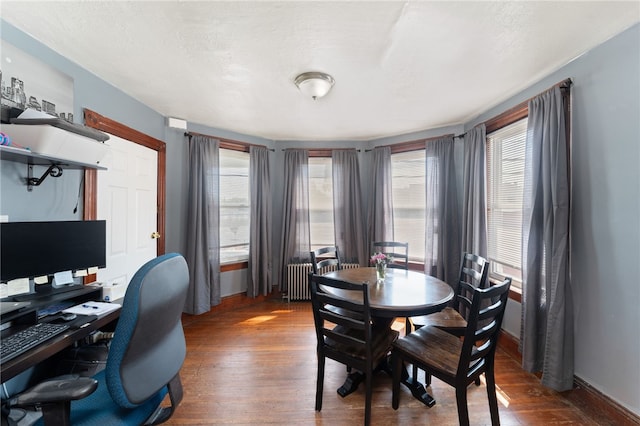 313 Branch Ave, Providence, RI 02904 - dining area with hardwood / wood-style floors, radiator heating unit, plenty of natural light, and a desk