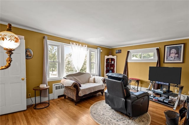 41 Higgins Ave, Providence, RI 02908 - living room featuring radiator heating unit, wood finished floors, and ornamental molding
