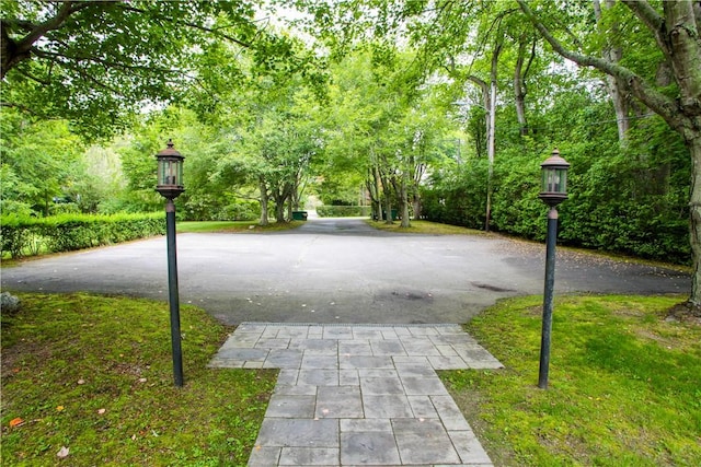 446 Bellevue Ave Unit 6, Newport, RI 02840 - view of home's community