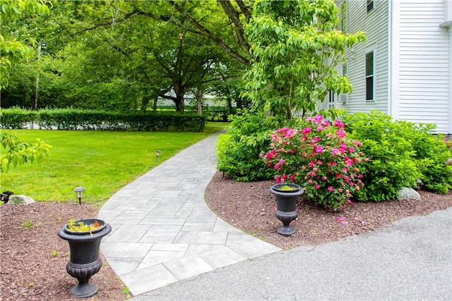 446 Bellevue Ave Unit 6, Newport, RI 02840 - view of green lawn