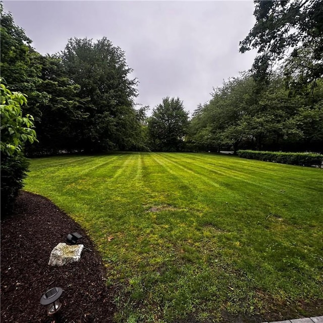 446 Bellevue Ave Unit 6, Newport, RI 02840 - view of grassy yard