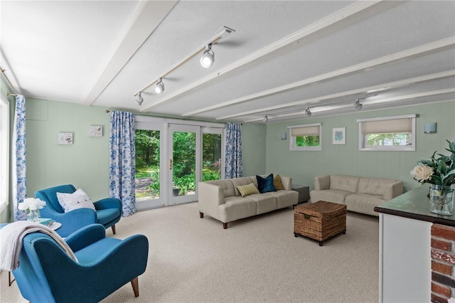 55 Atherton Rd, East Greenwich, RI 02818 - carpeted living room featuring track lighting
