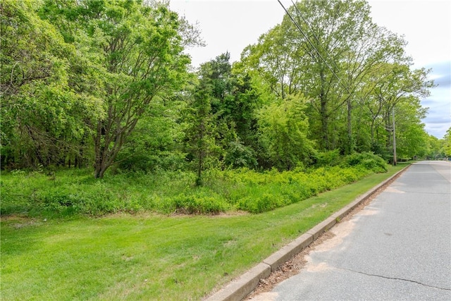103 Carrs Pond Rd, West Greenwich, RI 02817 - photo 41