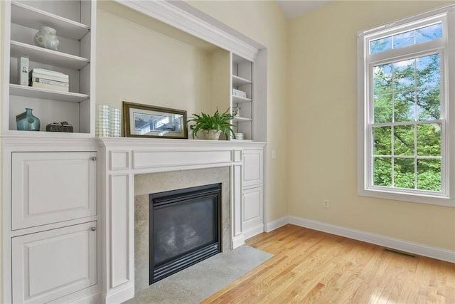 99 Preservation Way S, Kingstown, RI 02879 - detailed view of wood finished floors, built in shelves, and a fireplace