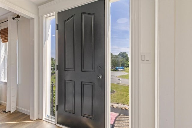6 Fleuette Dr, Bellingham, MA 02019 - entryway featuring healthy amount of natural light and wood finished floors