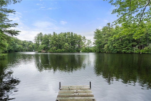 97 Farnum Pike Unit 7, Smithfield, RI 02917 - dock with a water view and a view of trees