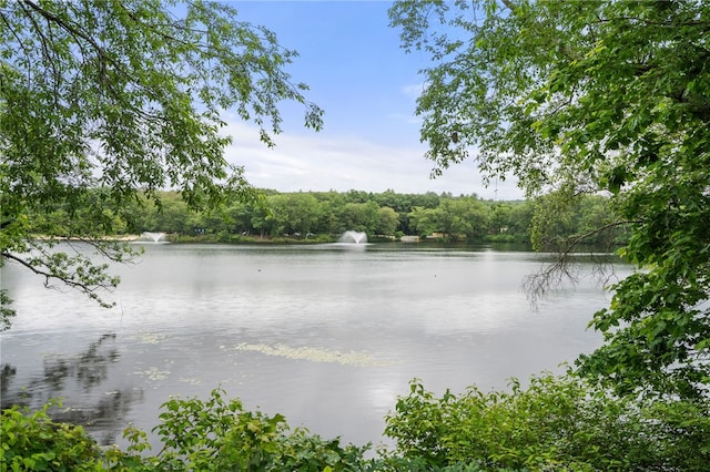 97 Farnum Pike Unit 7, Smithfield, RI 02917 - water view featuring a heavily wooded area