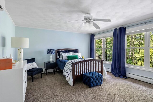 65 Knotty Pine Rd, Tiverton, RI 02878 - photo 30